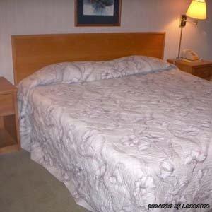 مرفيل Princess Motel الغرفة الصورة